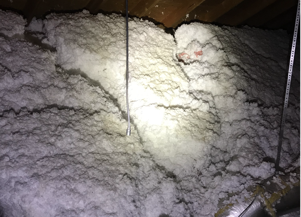 Raccoon trails left in roof insulation.