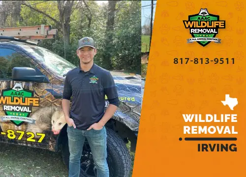 Irving Wildlife Removal professional removing pest animal