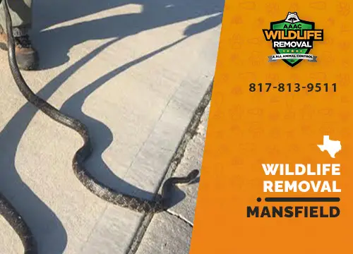 Mansfield Wildlife Removal professional removing pest animal