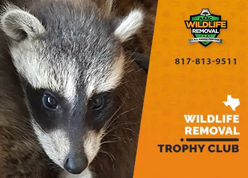 Trophy Club Wildlife Removal professional removing pest animal